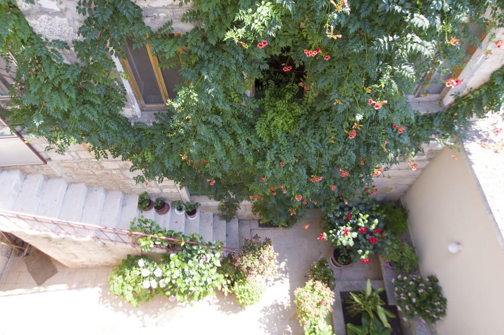 Sobe Andreis Otel Vela Luka Dış mekan fotoğraf